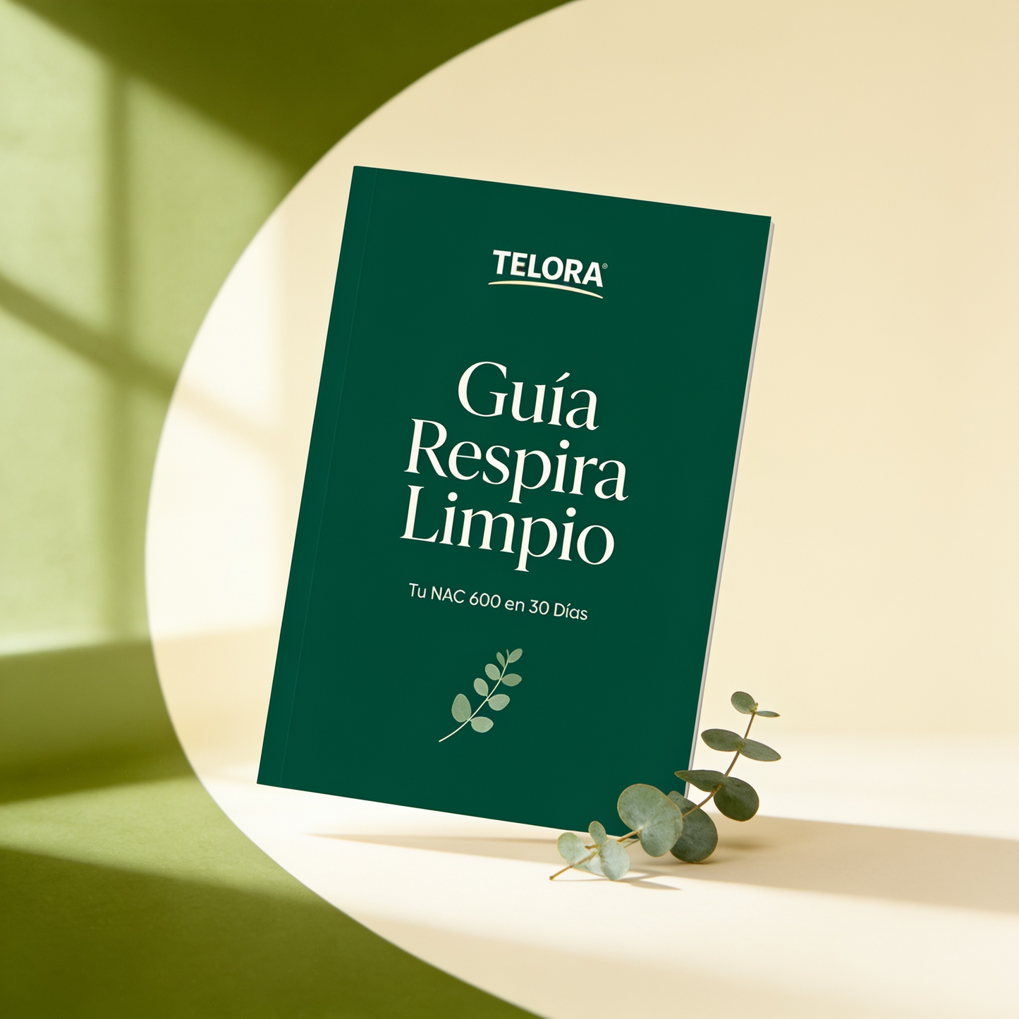 Guía Respira Limpio (Regalo Exclusivo)